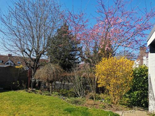 Foto - Einfamilienhaus in Schwentinental zum Kaufen