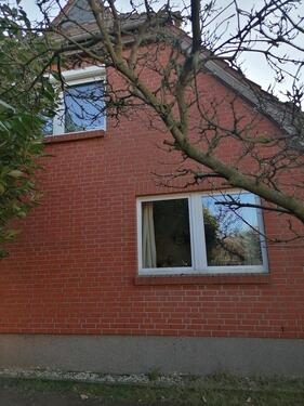 Foto - 6 Zimmer Doppelhaushälfte in Penzlin