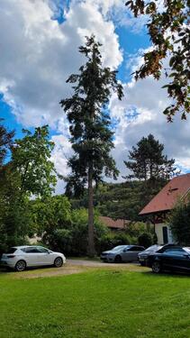 Foto - 3 Zimmer Erdgeschoßwohnung zur Miete in Walting