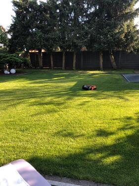 Foto - 4 Zimmer Bungalow in Henstedt-Ulzburg