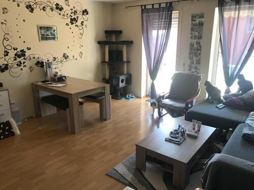 Foto - Etagenwohnung in Guxhagen zur Miete