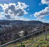 Gartengrundstück mit Hütte in den Weinbergen - Karlsruhe Grötzingen