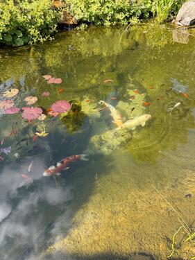 Foto - Einfamilienhaus in Abenberg