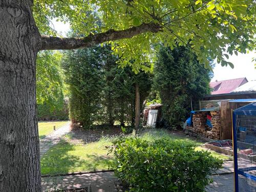 Foto - Einfamilienhaus zum Kaufen in Südheide