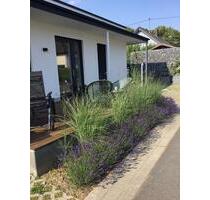 Moderne Wohnung, voll möbliert, ideal für Singlehaushalt - Morbach