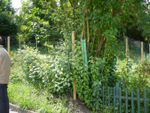 Foto - Etagenwohnung in Rottweil zur Miete