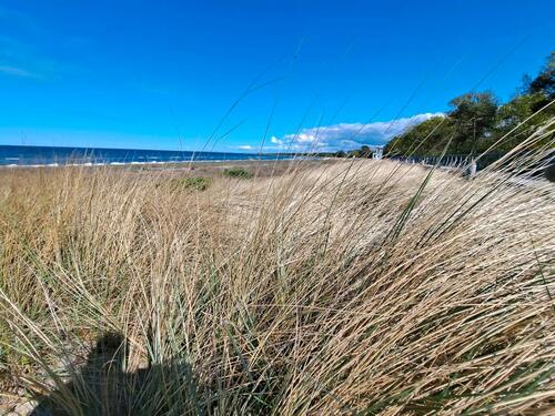Foto - Ferienwohnung-Ostsee in Boltenhagen