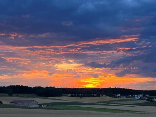 Foto - Grundstück in Lappersdorf