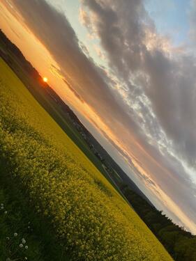 Foto - Grundstück in Lappersdorf zur Miete
