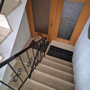 Foto - 3.5 Zimmer Dachgeschoßwohnung zur Miete in Plochingen