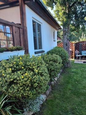 Foto - Bungalow in Wesenberg zum Kaufen