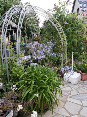 Foto - andere in Putbus zur Miete