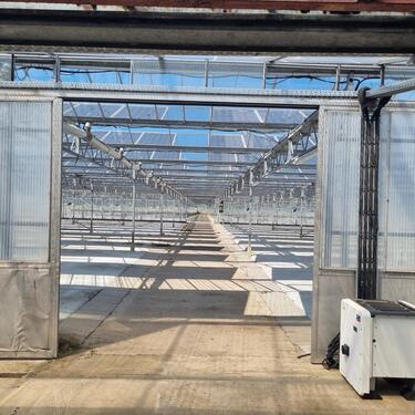 Foto - Gewächshausflächen zur Verpachtung - Bassum