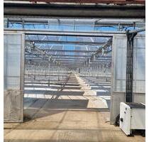 Gewächshausflächen zur Verpachtung - Bassum