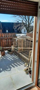 Foto - Dachgeschoßwohnung in Burg zur Miete