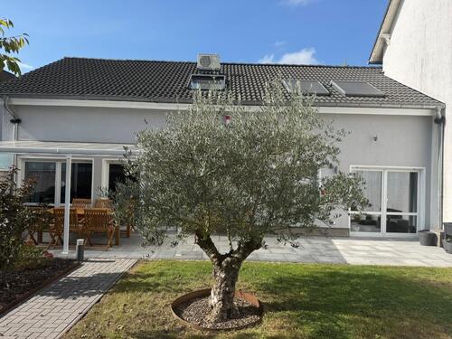 Foto - Familienfreundles Einfamilienhaus im Grünen, Erdwärme A+