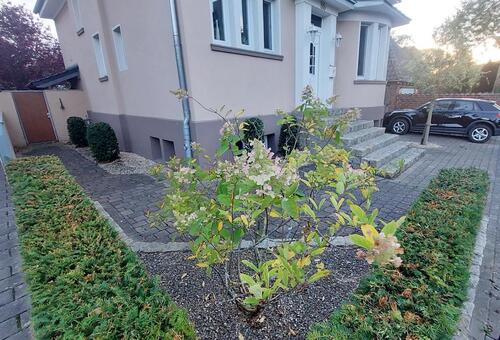 Foto - 6 Zimmer Einfamilienhaus zum Kaufen in Ahlen