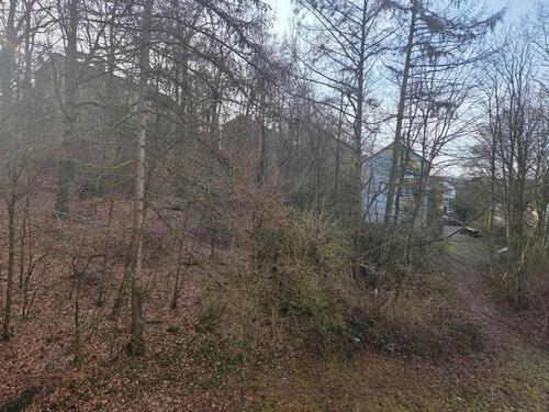 Foto - 2 Zimmer Etagenwohnung zur Miete in Werdohl