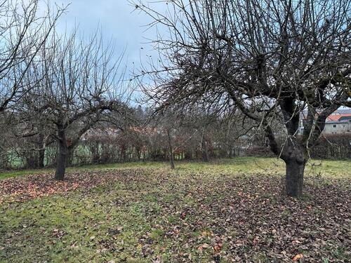 Foto - Grundst&uuml;ck in Warburg zur Miete