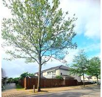 Wohnung zu vermieten - 1.440,00&nbsp;EUR Kaltmiete, ca.&nbsp; 127,00&nbsp;m&sup2; in Wolfsburg (PLZ: 38446) Almke