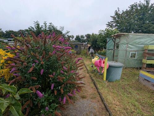 Foto - Pacht Garten - 1.500,00 EUR Kaltmiete, ca.  0,00 m²