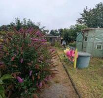 Pacht Garten - 1.500,00 EUR Kaltmiete, ca.  0,00 m² in Cottbus (PLZ: 03050) Spremberger Vorstadt