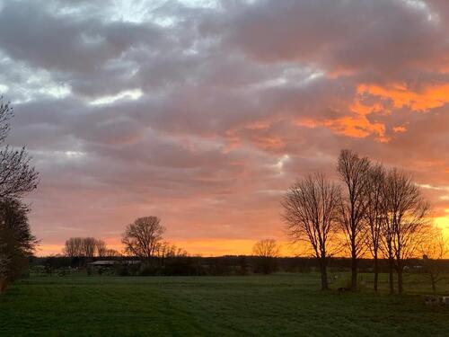 Foto - Etagenwohnung in Wunstorf zur Miete