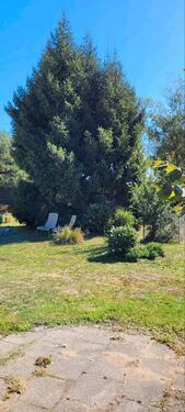 Foto - Einfamilienhaus in Bernburg (Saale) zum Kaufen