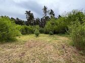Foto - Freizeitgrundstück mit altem Haus - Natur pur