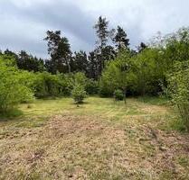 Freizeitgrundstück mit altem Haus - Natur pur - Kleinmachnow