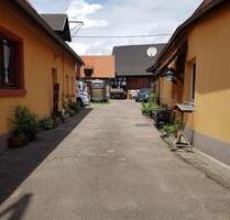 Haus mit erlaubter Pferdehaltung zu verkaufen - Schwegenheim