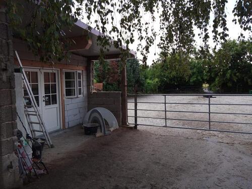 Foto - 11 Zimmer Mehrfamilienhaus, Wohnhaus zum Kaufen in Schwegenheim