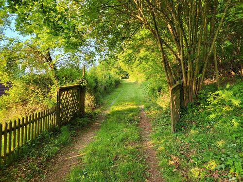 Foto - Natur pur: Wohngebäude, Baugrundstück, 5haWald Saarland-Beckingen