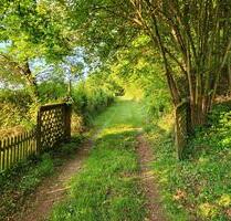 Natur pur: Wohngebäude, Baugrundstück, 5haWald Saarland-Beckingen - Münster Gievenbeck