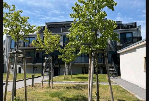 Foto - 2 Zimmer Erdgeschoßwohnung zur Miete in Weinböhla