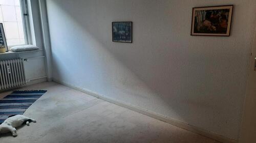 Foto - andere in Lübeck zur Miete