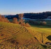 Wohnung EG 3 Zimmer - 1.200,00 EUR Kaltmiete, ca.  110,00 m² in Altusried (PLZ: 87452)