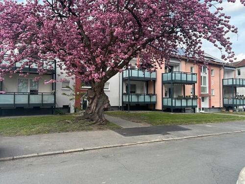 Foto - Lust auf Veränderung? Schöne 3-Zimmer-Stadtwohnung