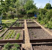 Kleingarten in Coschütz abzugeben - Dresden Cotta