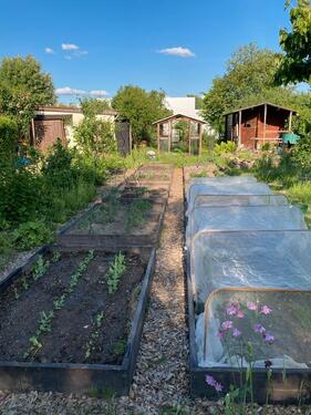 Foto - Grundstück in Dresden