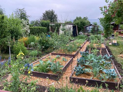 Foto - Grundstück in Dresden zur Miete