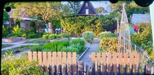 Foto - Schrebergarten in Delmenhorst Hasport