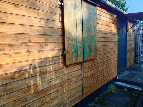 Foto - Kleingarten Dresden Löbtau - ökologisch bewirtschaftet -