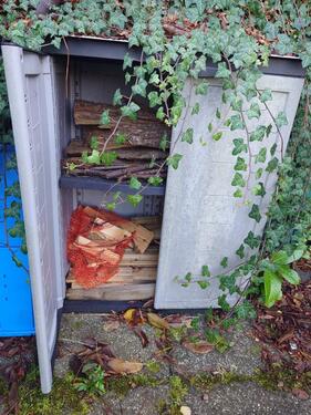 Foto - Grundstück in Dresden zur Miete