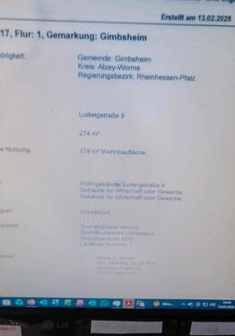 Foto - Einfamilienhaus zum Kaufen in Gimbsheim