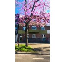 sehr gepflegte Wohnung in Köln Poll provisionsfrei zu verkaufen