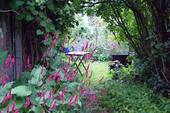 Foto - Haus für Individualisten - 570.000,00 EUR Kaufpreis,