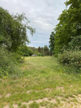 Foto - Wiese für Pferde oder Schafe - 100,00 EUR Kaltmiete, ca.  0,00 m²
