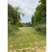 Wiese für Pferde oder Schafe - 100,00 EUR Kaltmiete, ca.  0,00 m² in Ottendorf-Okrilla (PLZ: 01458)