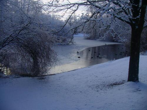 Foto - 2 Zimmer Etagenwohnung in München